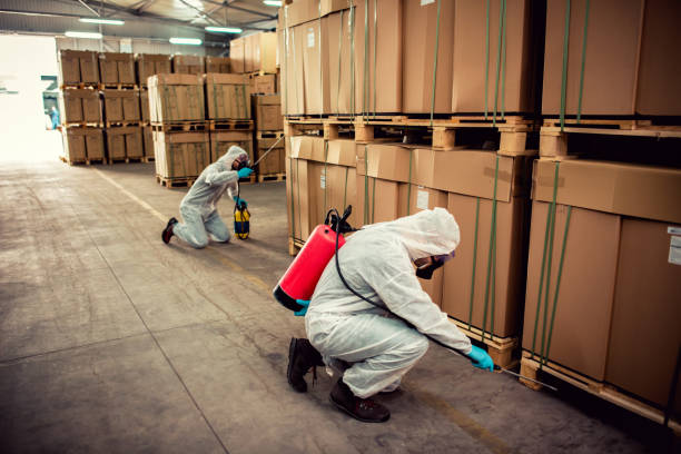 Best Cockroach Control Services  in Jarales, NM