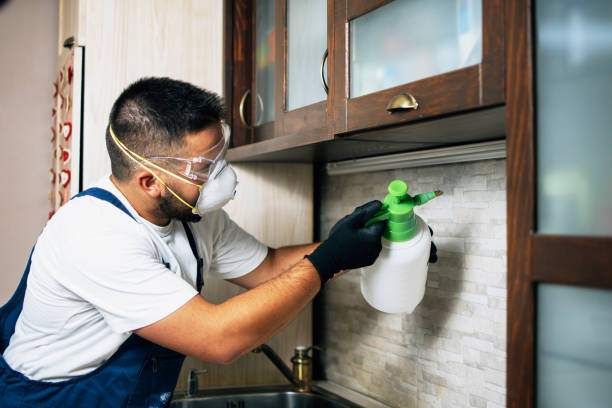 Best Bed Bug Extermination  in Jarales, NM