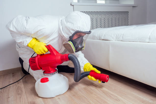 Best Insect Control  in Jarales, NM