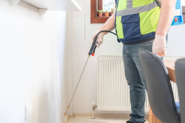 Best Termite Control Services  in Jarales, NM