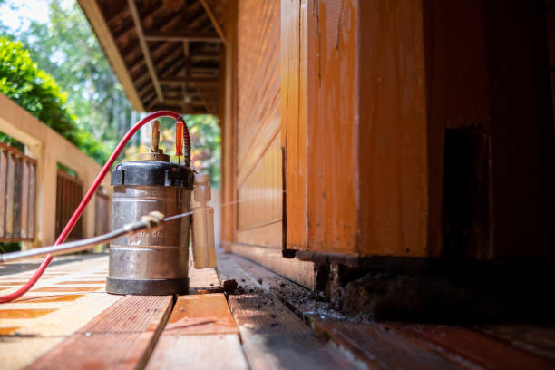 Best Pest Removal Services  in Jarales, NM
