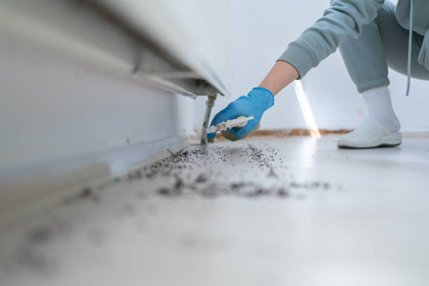 Best Mosquito Control Services  in Jarales, NM