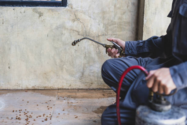 Pest Prevention Services in Jarales, NM